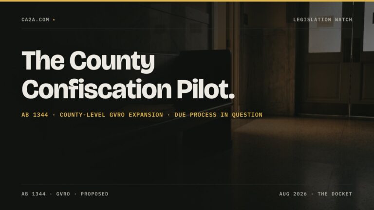 The County Confiscation Pilot. AB 1344 · County-level GVRO expansion · Due process in question