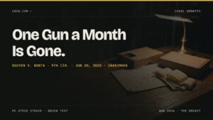 One Gun a Month Is Gone. Nguyen v. Bonta · 9th Cir. · Jun 20, 2025 · Unanimous