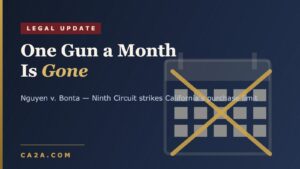 Stylized graphic of a crossed-out calendar with the headline One Gun a Month Is Gone