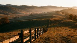 Golden California foothills with a wooden fence line at sunset